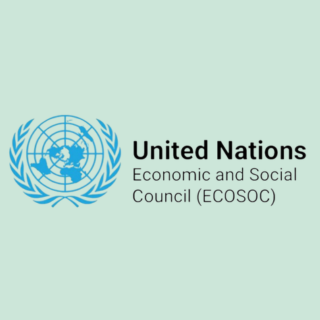 ECOSOC Logo