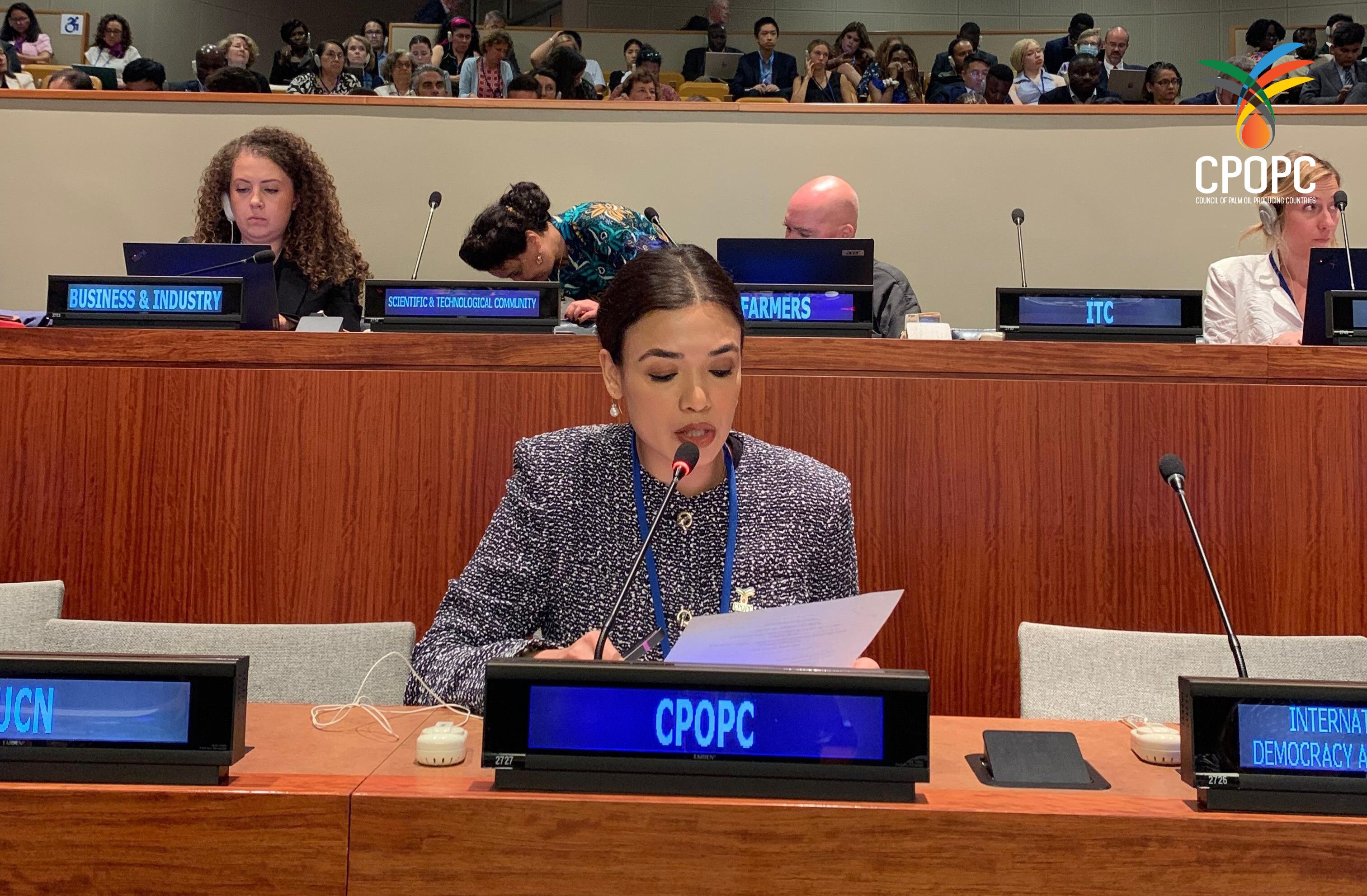 CPOPC Presenting at the Highâ€‘Level Political Forum on Sustainable Development (HLPF) 2025