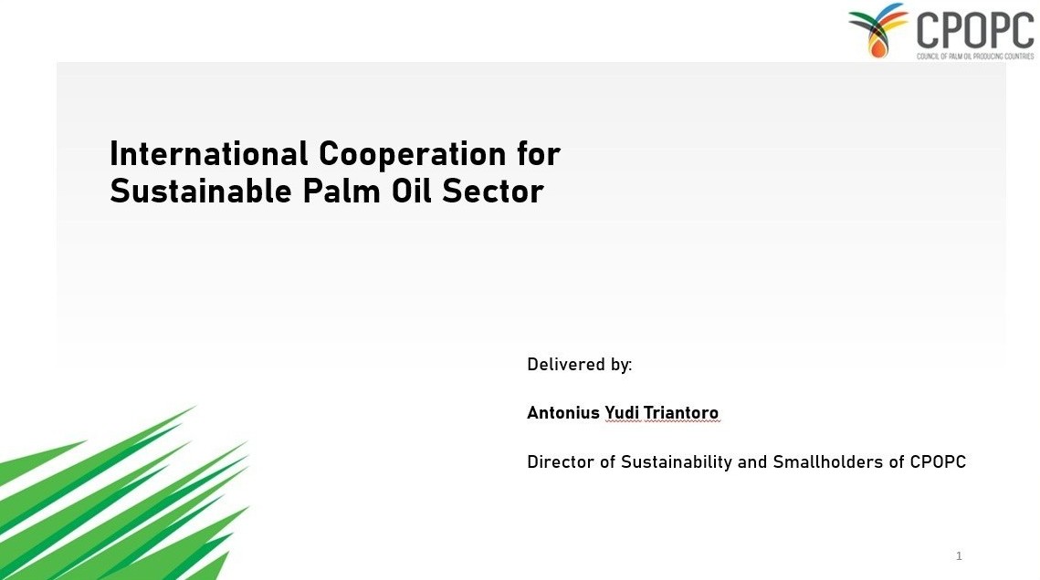 International Cooperation for Sustainable Palm Oil Sector