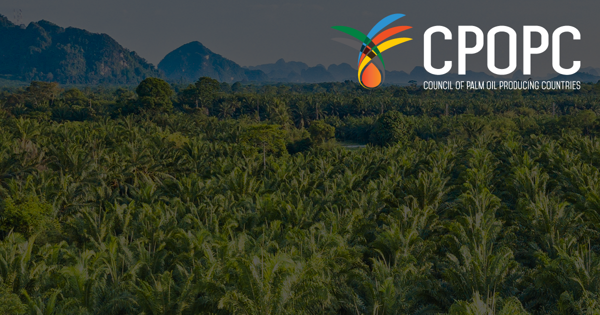 The EUs war on palm oil is about protectionism, not global warmin
