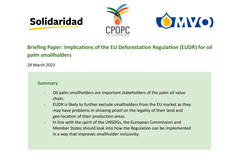 Brieﬁng Paper: Implications of the EU Deforestation Regulation (EUDR) for oil palm smallholders