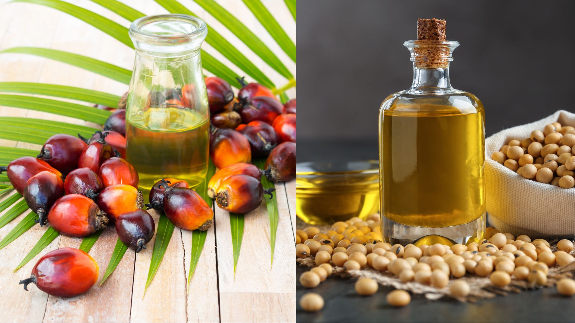 India,s Shift to Soyoil Temporary, says Palm Oil body,s Gunalan