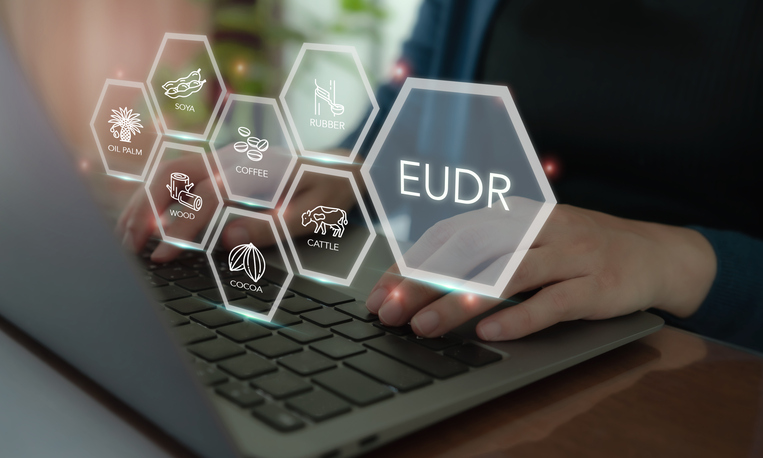 A Window for Collaboration: Turning the EUDR Delay into a Practical Partnership