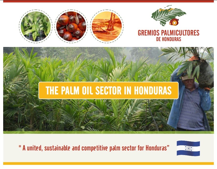The Palm Oil Secrot in Honduras