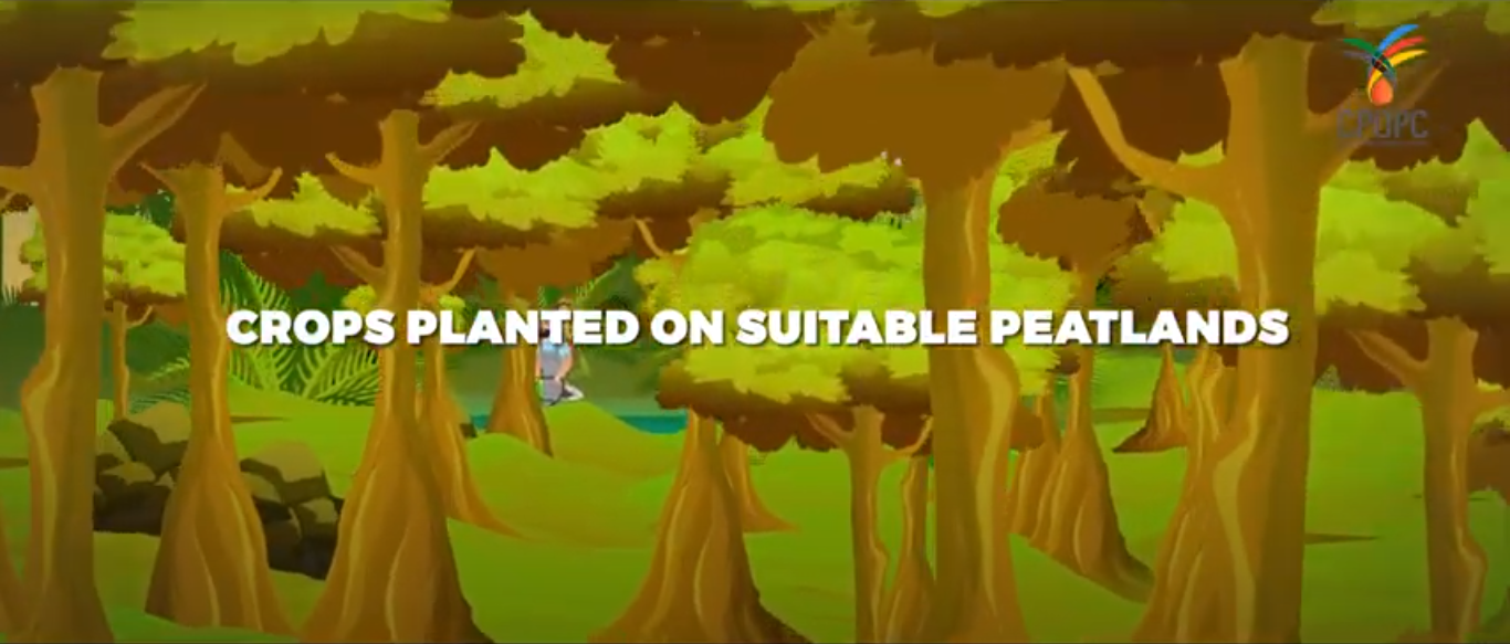 Improving Degraded Peatland through Oil Palm Cultivation