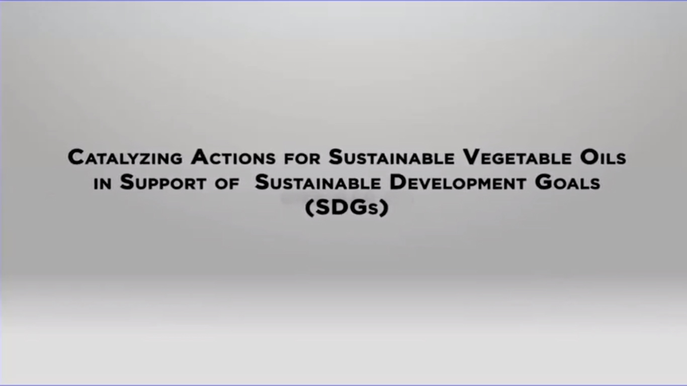 Webinar UN HLPF Side Event