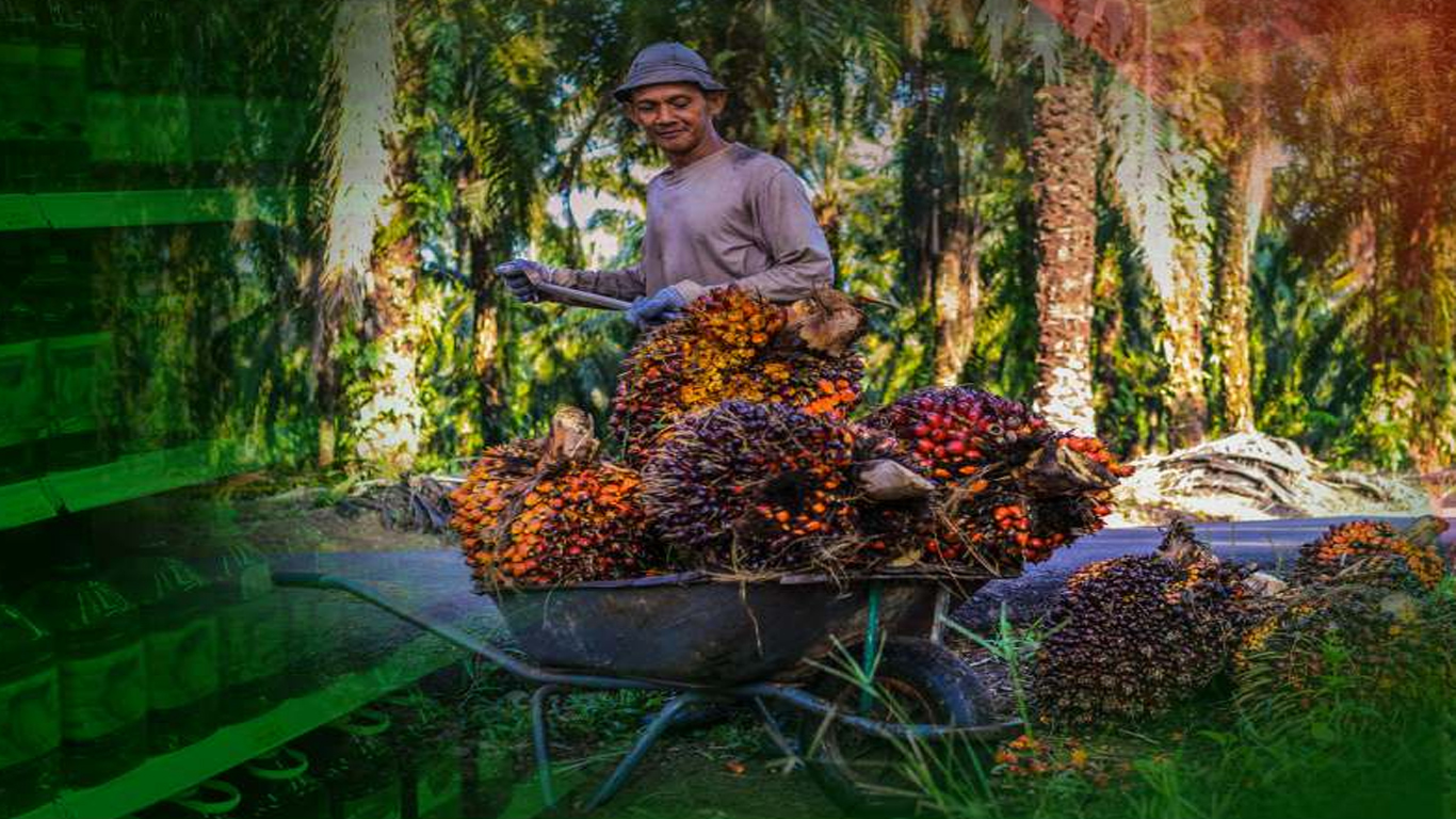 Outlook for Challenges and Opportunities for Palm Oil Producers